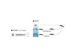 Yo-Zuri Pins Minnow 70 Mm