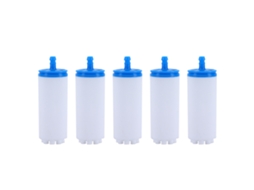 Kit de 5 Filtros de Combustível para Husqvarna CHABERLU
