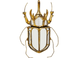 Decoração de Parede Beetle