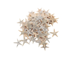 100 Peças De Estrelas Do Mar Naturais 1-5cm Para Artesanato, Decoração De Praia, Casamento, Lar E Aquário