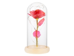 1Pcs Rosa Brilhante com Tampa de Vidro ALLINLESS