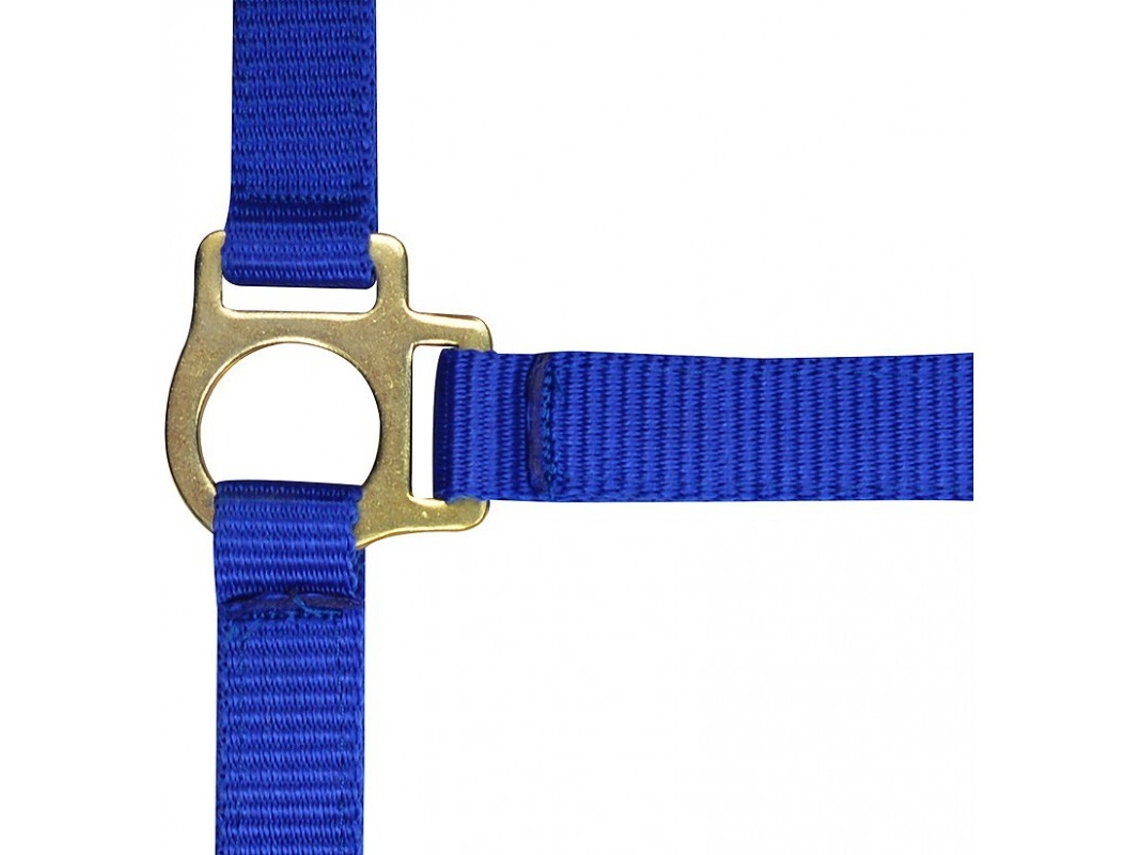 Cabresto para potro e corda de chumbo Norton