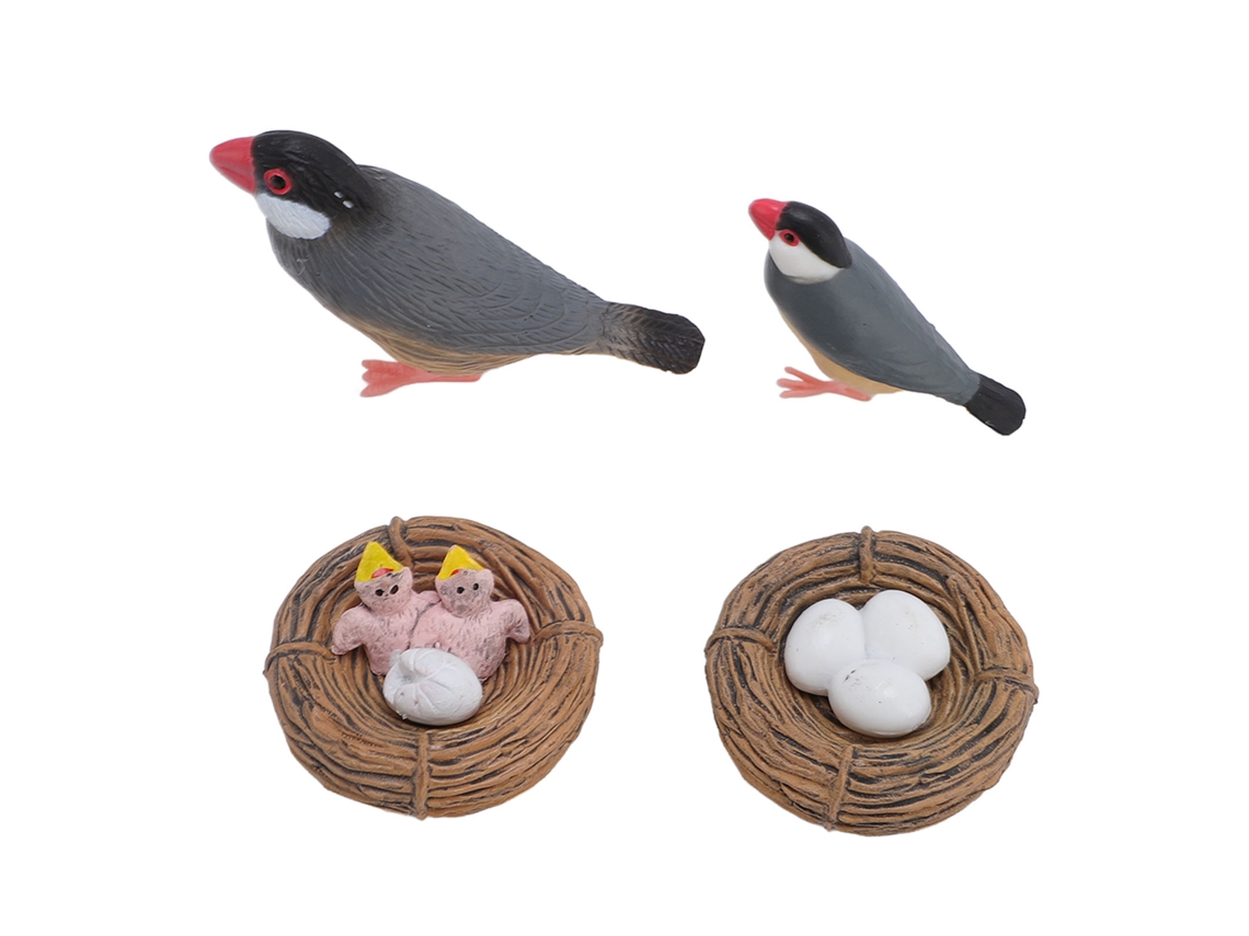 Conjunto De Modelo De Pássaro Brinquedo Simula Ciclo De Crescimento De Pássaro Eclosão