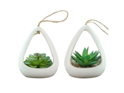 2 Peças de Suculentas de Simulação Ornamentos Criativos de Moda para Pendurar na Parede Flores Artificiais e Plantas Verdes RNEMITERY