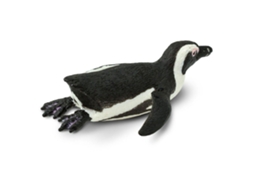 SAFARI South African Penguin