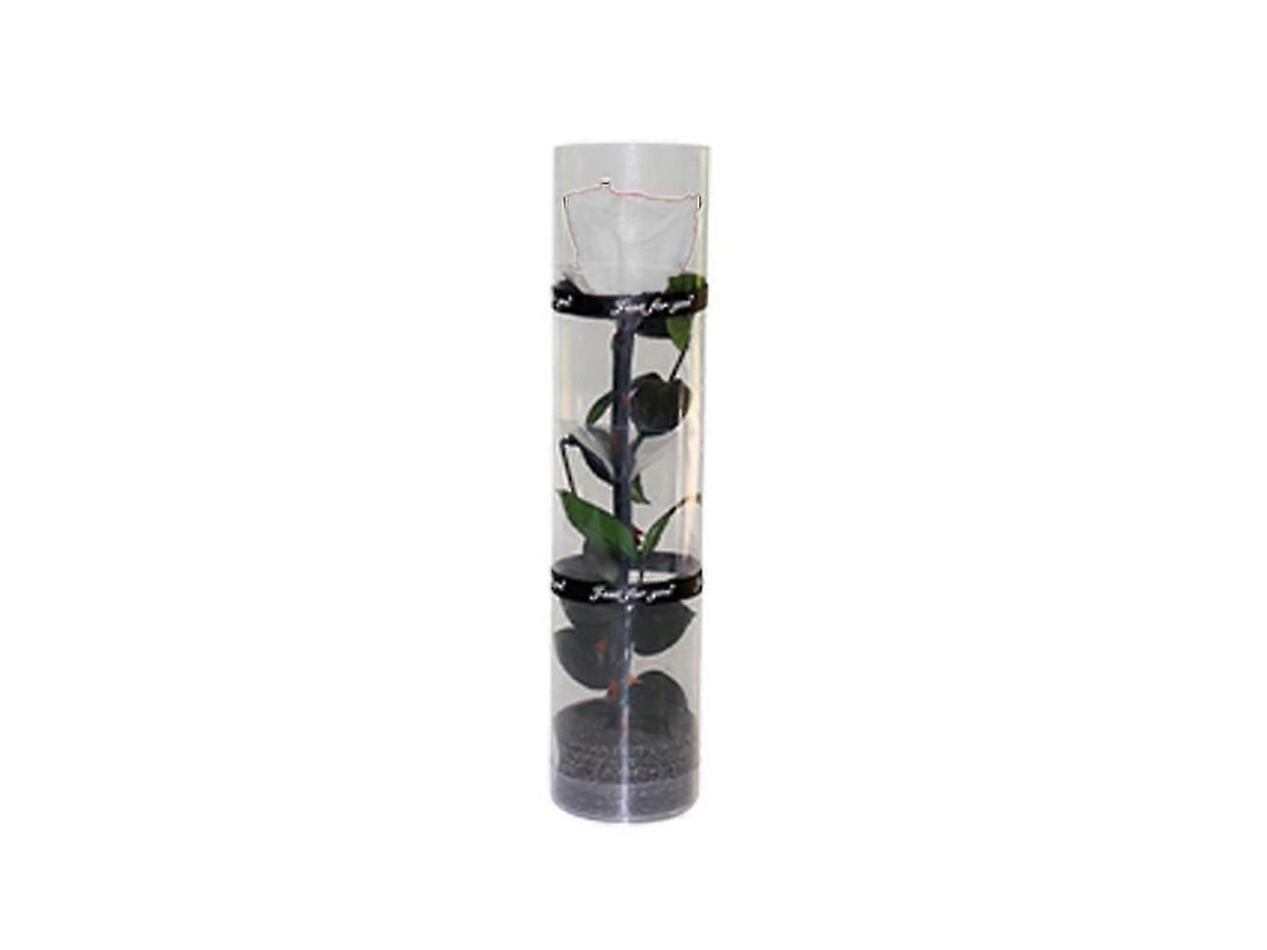 Rosa Preservada Real Com Caule E Folhas, Cor Durável, Embalagem Transparente, 27cm, Diâmetro 4.5cm Branco