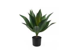 Planta Artificial PRESENT TIME Succulent