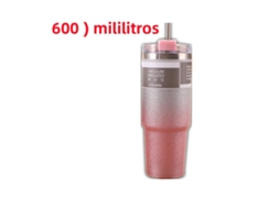 Garrafa de Água Isolada de Aço Inoxidável com Dupla Camada , À Prova de Vazamentos. MDUG (rosa, 600 Ml)