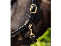 Cabresto de cavalo almofadado em couro Premier Equine