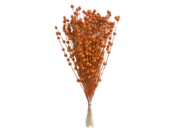 Conjunto de 50 Decorações Natalícias de Laranja com Pistáchio LAXISCREED