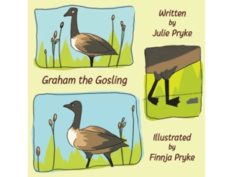 Livro Graham The Gosling De Julie Pryke (inglês)