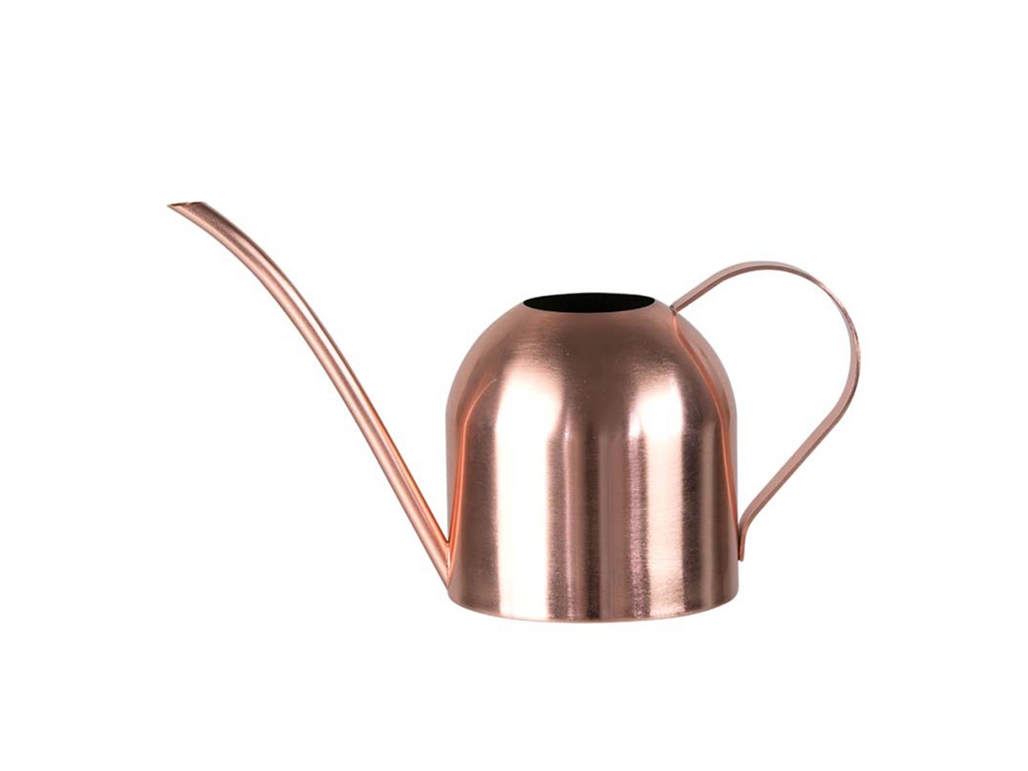 Regador de aço inox 450ml com bico longo AQUAFORGE