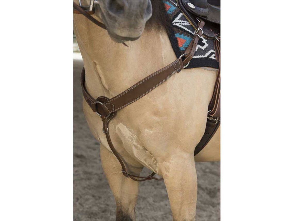 Pechopetral Bily Castanhowestride