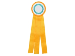 Insígnia De Fita Rosette Generosa Medalha Para Vencedores Troféu Classe Prêmio Amarelo