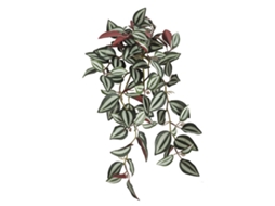 Laxiscreed Parede De Planta Artificial Para Decoração De Casamentos Com Folhas Verdes E Flores Púrpura