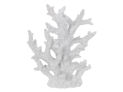Coral BY SIGRIS
