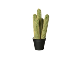 Floreiro com Cactus 'Cleisto Cactus' 12.5Cm - Deko ASA SELECTION