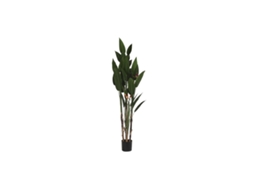 Planta Decorativa Dkd Home Decor 90 X 90 X 200 Cm