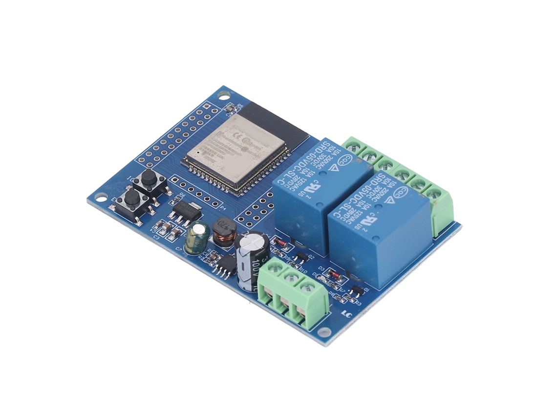Módulo De Relé Dual Com Flash 4m Byte Programável