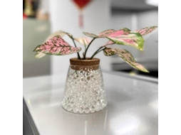 50.000 Pérolas de Água Business de Cristal Transparente para Decoração e Brinquedo S/MARCA