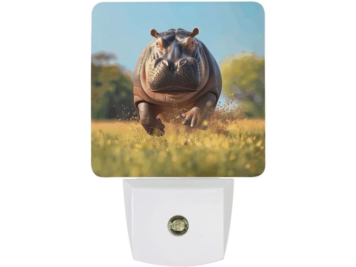 Luminárias Noturnas De Parede Com Plugue, Imagens De Animais Comuns, Luzes Noturnas De Led Com Sensor, Luz Noturna