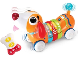 Cão WINFUN Arcoiris