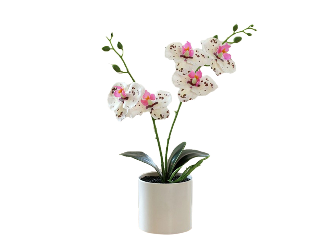 Laxiscreed Flor Artificial Phalaenopsis Em Mini Árvore Com Duas Garfos E Cinco Pétalas
