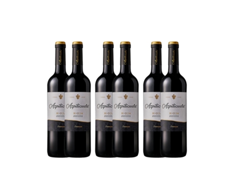 Pack 6 Azpilicueta Crianza BODEGA AZPILICUETA