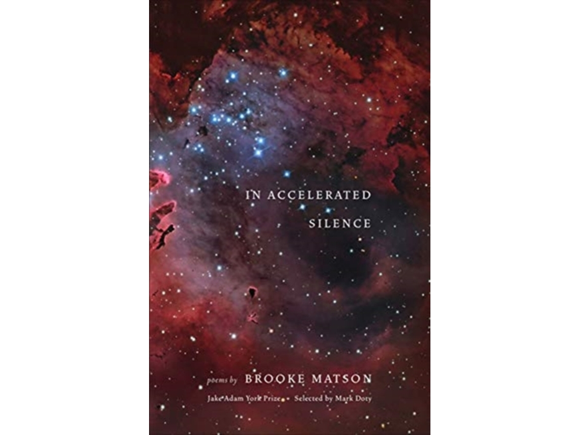 Livro In Accelerated Silence de Brooke Matson (Inglês)