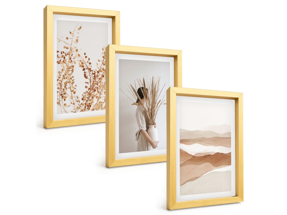 Pinturas Murais Modernasmotivos De Plantas Rústicos E Boho Moldura Dourada Fotos Para O Corredor Espelharte (3 Peças 20x30 Cm)