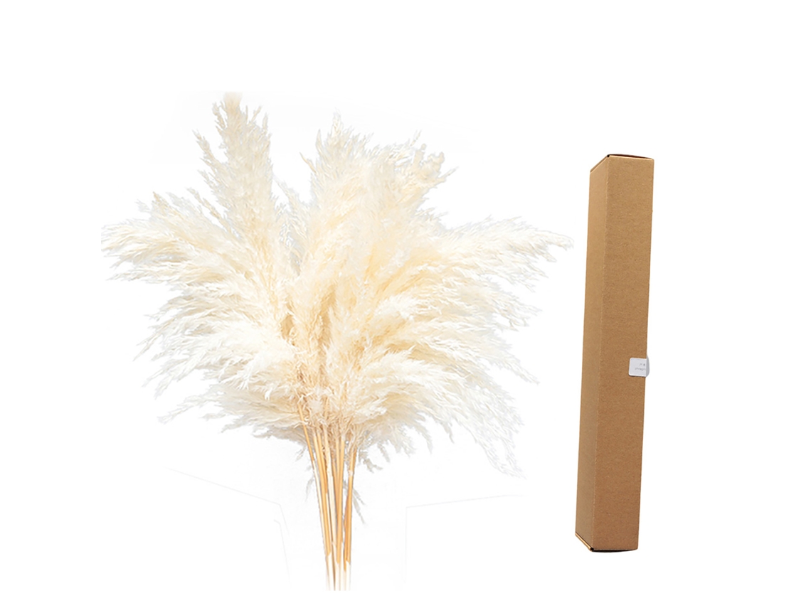 Buquê de Grama pampas Seca Natural Grande 40 45cm para Decoração Boêmia em Casa com S/MARCA
