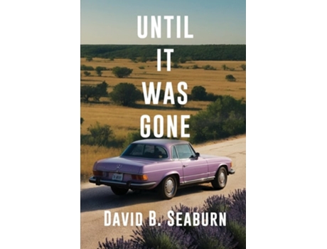 Livro Until It Was Gone A Contemporary Family Novel of Resilience and Hope de David B Seaburn (Inglês)