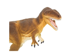 SAFARI Carcharodontosaurus
