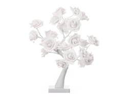 Laxiscreed Luz De Flor De Rosa Com 24 Led Para Decoração De Festa E Quarto