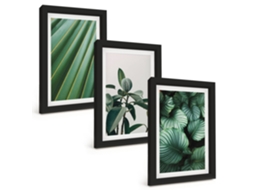 Composição De Quadros Folhas Tropicais Estéticas Espelharte (3 Peças 20x30 Cm)