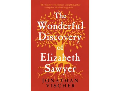 Livro The Wonderful Discovery Of Elizabeth Sawyer De Jonathan Vischer (inglês)