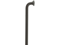 Dt Swiss Competition J-Bend 100 Units