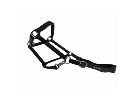 Cabresto de couro com inserto de cristal para cavalos Cavaletti Tara