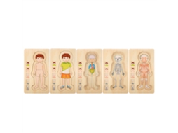 Mali brinquedo de Blocos de Madeira Estrutura Corporal Humana Multicamada Educativo Inteligente para Menino