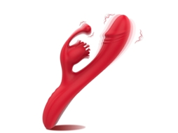 Vibrador Rosa Com 10 Modos De Lamber E Vibrar Funo De Aquecimento Para Mulheres (vermelho) Yizhood