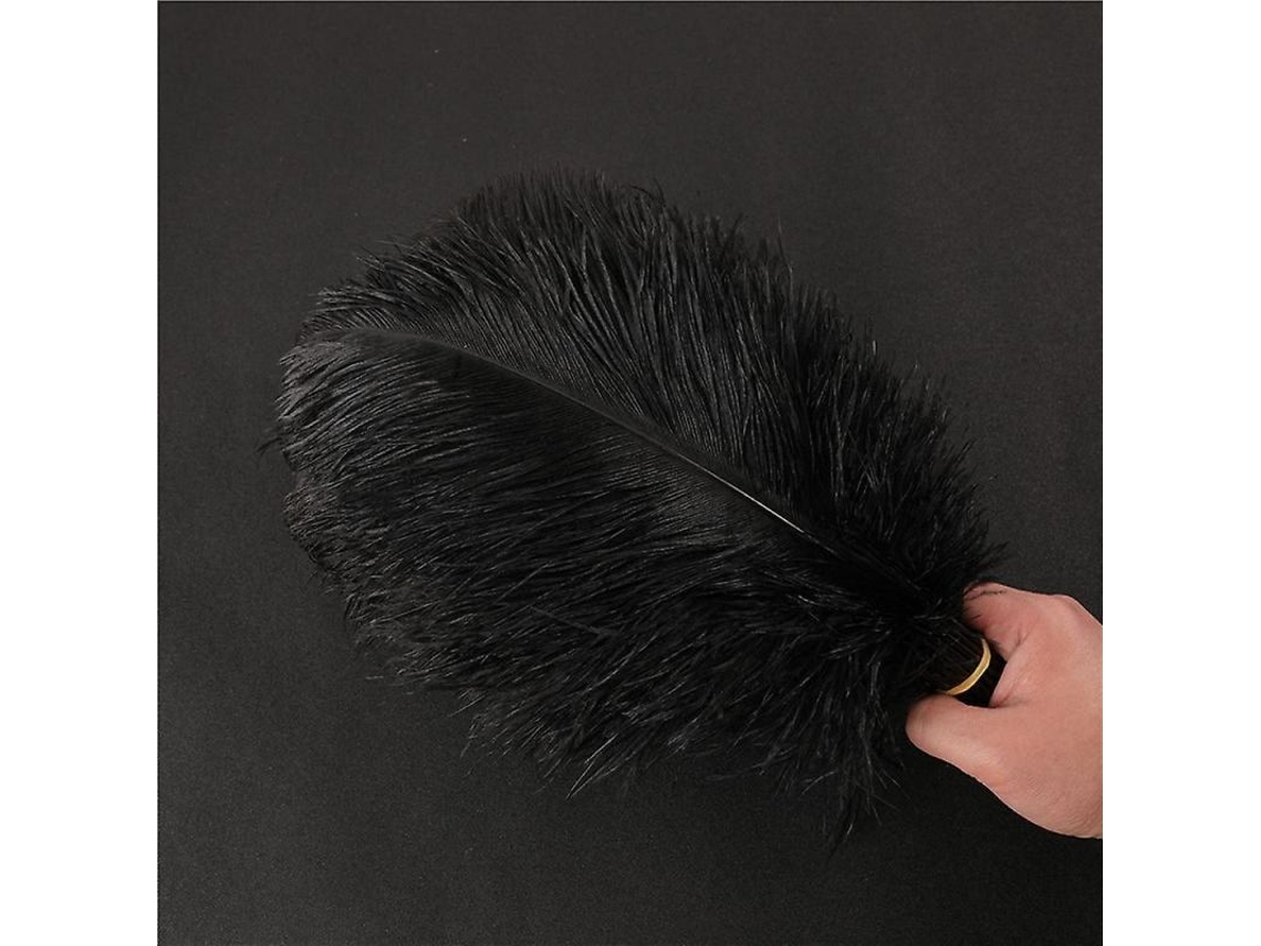 Penas de Avestruz Nova Line 30-35cm Preto 20pcs para Decoração de Casamento e Festas S/MARCA