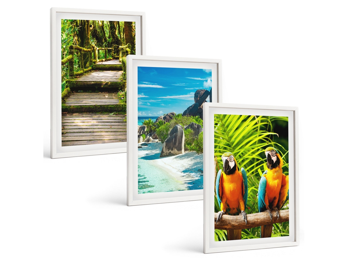 Composição De Quadros Floresta Tropical, Cachoeira, Papagaios Moldura Branca Fotos Para O Escritório Espelharte (3 Piezas De 40x60 Cm)