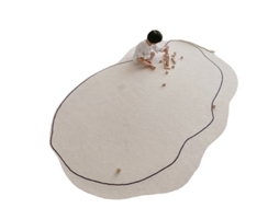 Alfombra Simple Espesorada Densificada Sem Cheiro Lavável A Máquina Para Sala De Estar Forma Irregular Branco Leite 80x120cm