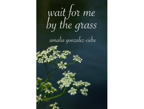 Livro Wait For Me By The Grass De Amalia Gonzalez-cidre (inglês)