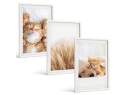 Quadros Decorativos Para Parede Animais Fofos, Gatos, Cachorros, Estilo Boho Moldura Branca Pinturas De Quarto Espelharte (3 Piezas De 40x60 Cm)