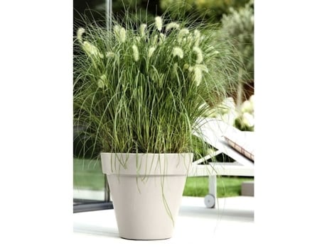 Vaso Elho Pure Round 60 Branco Ø 59 X A 54 Cm 100 Reciclado Elho Give Room To Nature