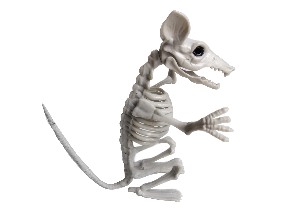 Mali esqueleto de Animal Halloween Simulação Horror Decoração Festa Abs Múltiplas Formas