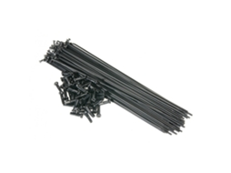 Raios MACH1 OEM 170 mm