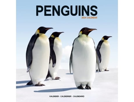 Livro Penguins Calendar 2024 Square Animal Wall Calendar - 16 Month de Avonside Publishing ltd (Inglês)