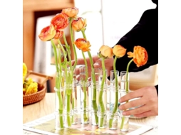 Vaso De Flor Em Tubo De Teste Com Seguro, 8 Peças, Suporte Para Plantas, Centros De Mesa Com Escova - Ys L- 18 X 3 Cm